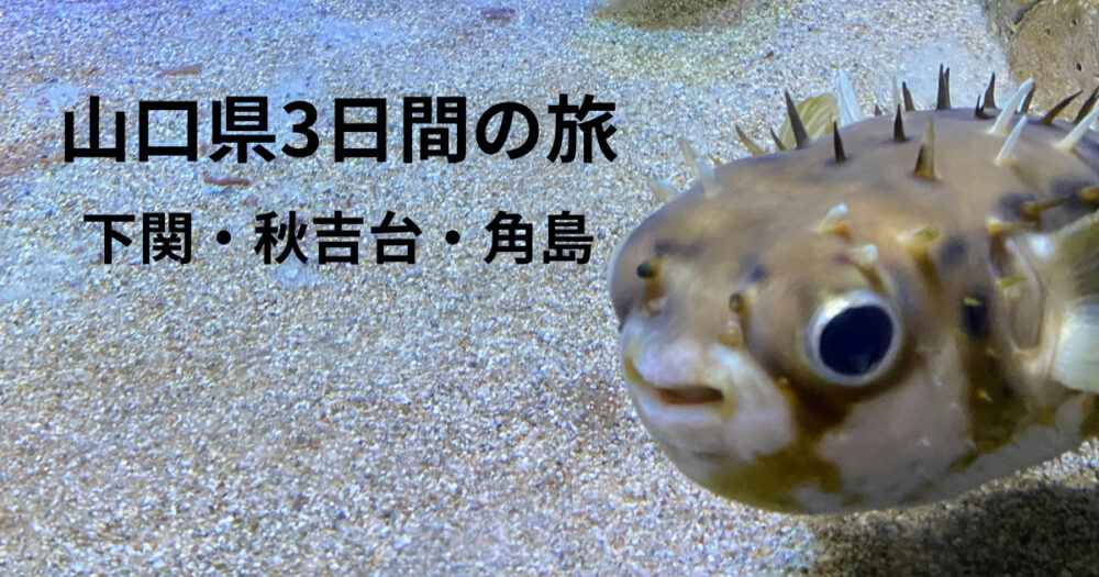 山口県（下関・秋吉台・角島）を巡った3日間の旅のアイキャッチ。海響館で見たフグの写真に、旅のタイトルを重ねています。